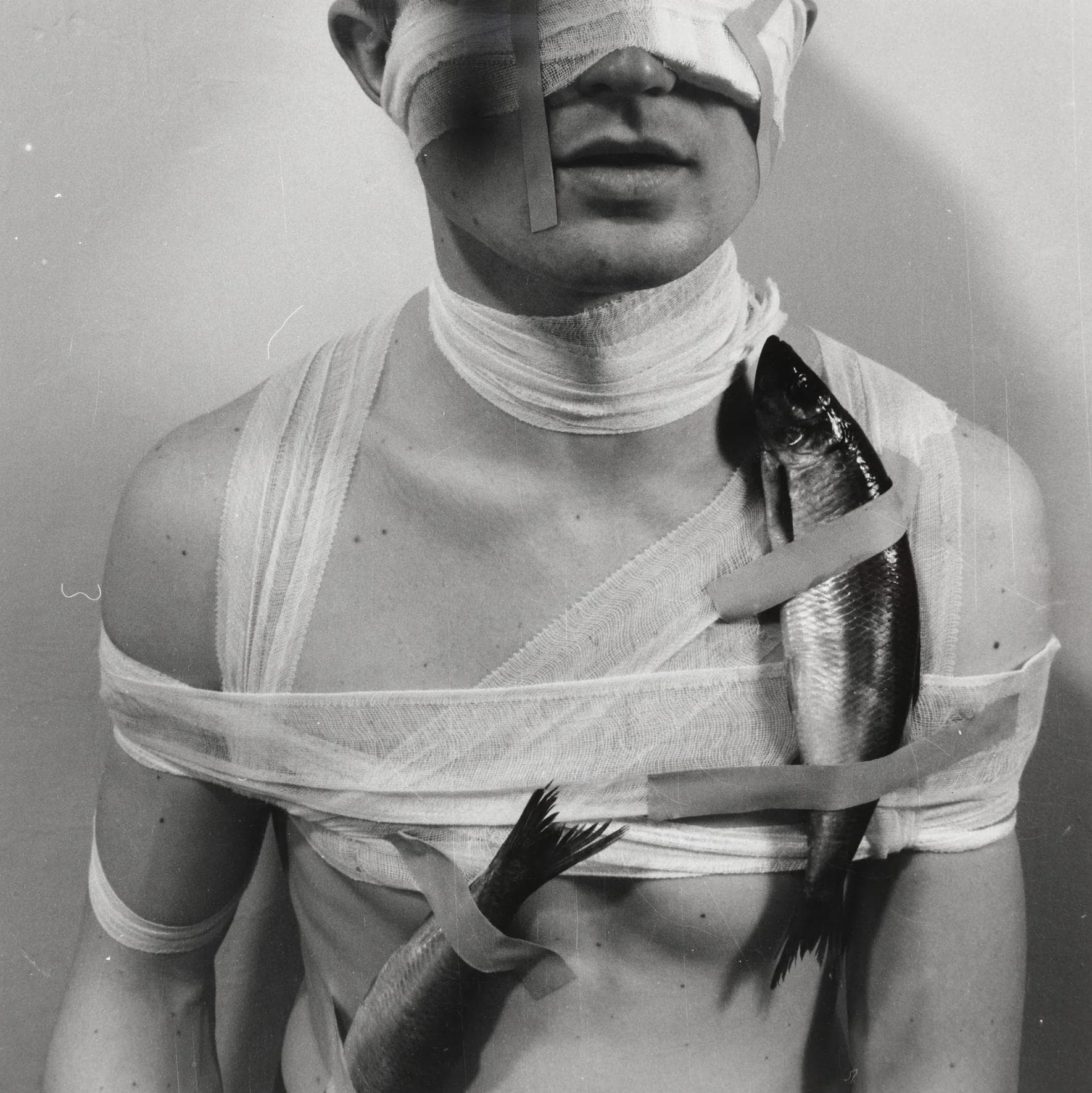 Screenshot_2025-03-04_at_3.12.28_PM